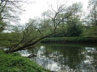Am Ufer der Blies bei Blieskastel